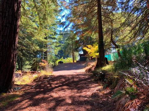 3851 Joy Rd, Occidental, CA 95465 photo 26