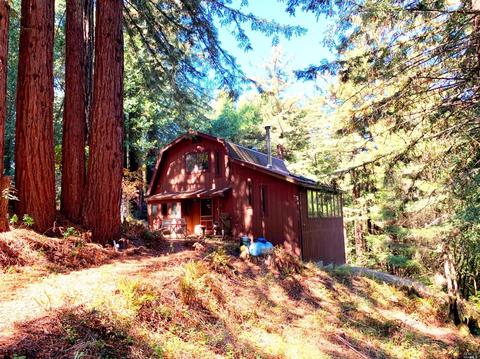 3851 Joy Rd, Occidental, CA 95465 photo 18