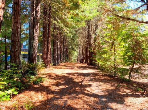 3851 Joy Rd, Occidental, CA 95465 photo 2