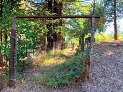 3851 Joy Rd, Occidental, CA 95465 photo 25