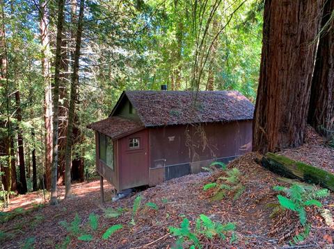 3851 Joy Rd, Occidental, CA 95465 photo 31