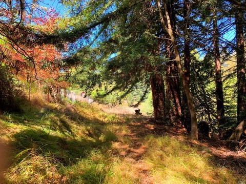 3851 Joy Rd, Occidental, CA 95465 photo 20