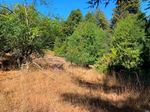 3851 Joy Rd, Occidental, CA 95465 photo 22