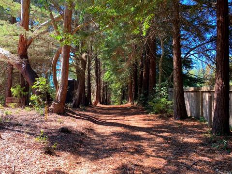 3851 Joy Rd, Occidental, CA 95465 photo 28