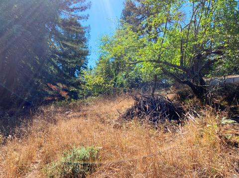 3851 Joy Rd, Occidental, CA 95465 photo 24