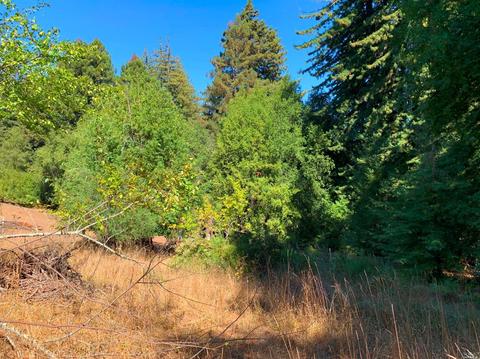 3851 Joy Rd, Occidental, CA 95465 photo 21