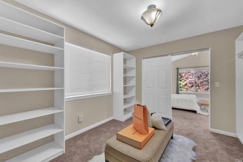 237 Shadowhawk Ct, Vacaville, CA 95688 photo 49