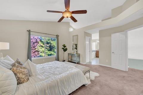 237 Shadowhawk Ct, Vacaville, CA 95688 photo 45