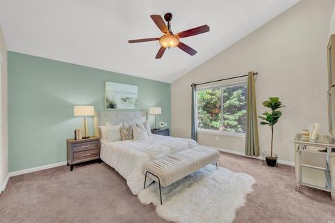 237 Shadowhawk Ct, Vacaville, CA 95688 photo 42