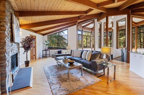 120 Coronet Ave, Mill Valley, CA 94941 photo 17