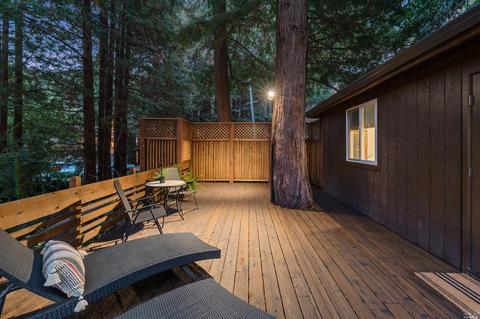 120 Coronet Ave, Mill Valley, CA 94941 photo 40