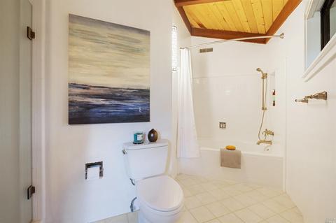 120 Coronet Ave, Mill Valley, CA 94941 photo 33