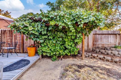 369 Tulip St, Fairfield, CA 94533 photo 42