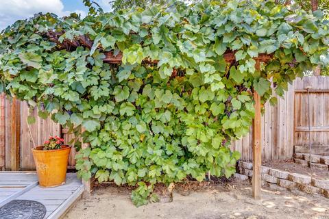 369 Tulip St, Fairfield, CA 94533 photo 44