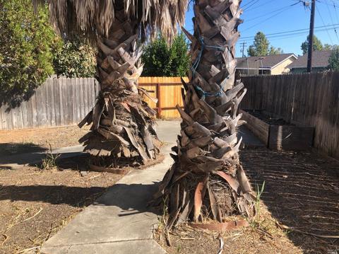 22-24 Solano Dr, Dixon, CA 95620 photo 21