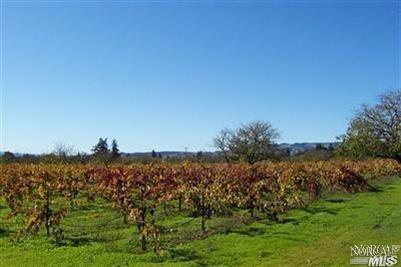 844 Grapestone Ln, Sonoma, CA 95476 photo 3