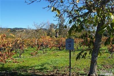 844 Grapestone Ln, Sonoma, CA 95476 photo 2