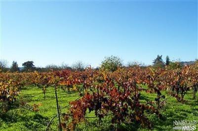 844 Grapestone Ln, Sonoma, CA 95476 photo 4
