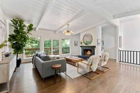 316 Hillside Ave, Mill Valley, CA 94941 photo 4