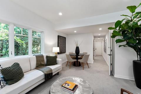 316 Hillside Ave, Mill Valley, CA 94941 photo 30