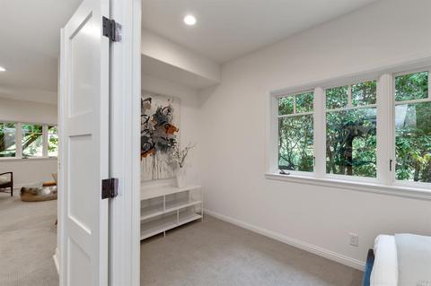 316 Hillside Ave, Mill Valley, CA 94941 photo 31