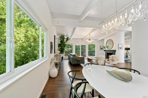 316 Hillside Ave, Mill Valley, CA 94941 photo 10