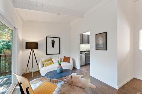 316 Hillside Ave, Mill Valley, CA 94941 photo 15