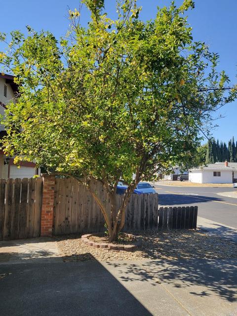 Undisclosed, Fairfield, CA 94534 photo 46