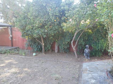 Undisclosed, Fairfield, CA 94534 photo 48