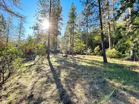 5926 Ridgewood Rd, Willits, CA 95490 photo 42