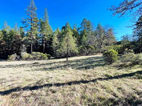 5926 Ridgewood Rd, Willits, CA 95490 photo 43