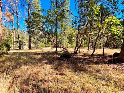 5926 Ridgewood Rd, Willits, CA 95490 photo 33