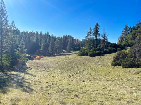 5926 Ridgewood Rd, Willits, CA 95490 photo 46