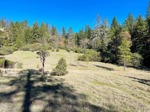 5926 Ridgewood Rd, Willits, CA 95490 photo 44