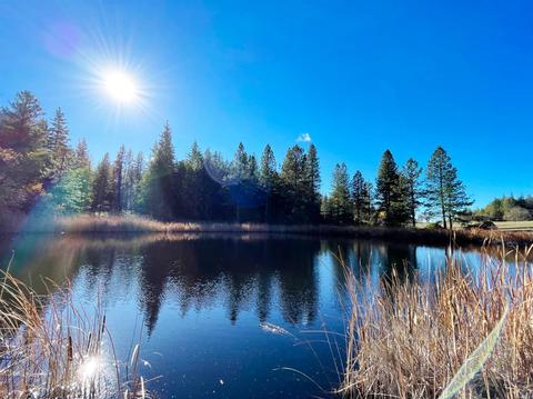 5926 Ridgewood Rd, Willits, CA 95490 photo 37