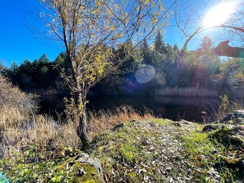 5926 Ridgewood Rd, Willits, CA 95490 photo 50
