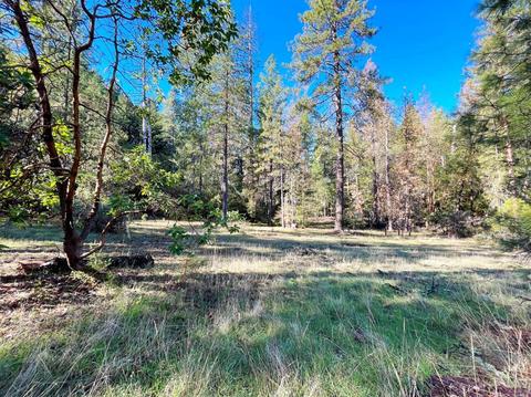 5926 Ridgewood Rd, Willits, CA 95490 photo 45