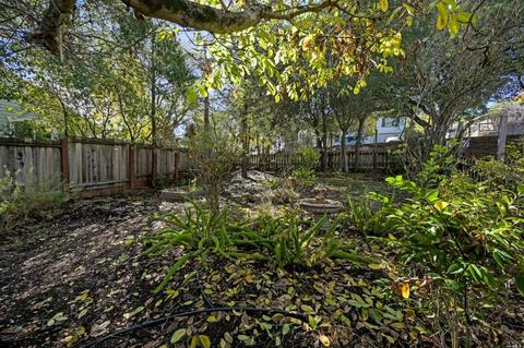 16 Pearce St, Petaluma, CA 94952 photo 25