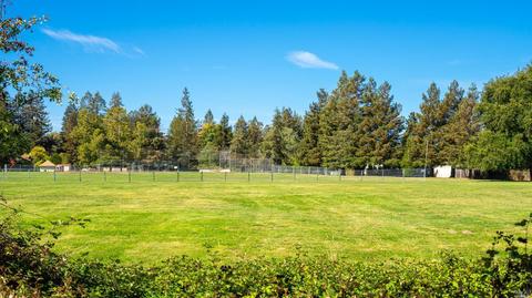 8573 Wren Dr, Cotati, CA 94931 photo 31