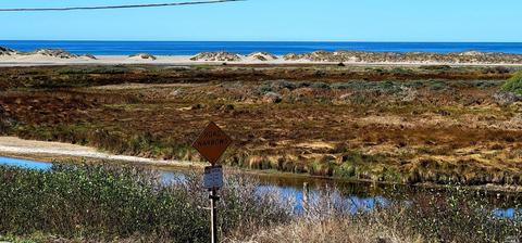 100 Bean Ave, Bodega Bay, CA 94923 photo 2