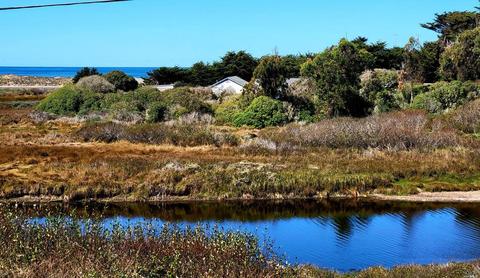 100 Bean Ave, Bodega Bay, CA 94923 photo 3