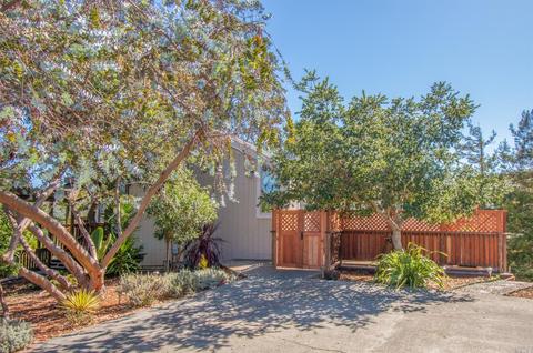 317 Durant Way, Mill Valley, CA 94941 photo 3