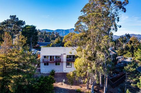 317 Durant Way, Mill Valley, CA 94941 photo 30