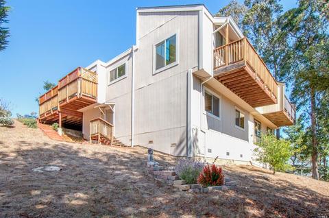 317 Durant Way, Mill Valley, CA 94941 photo 29