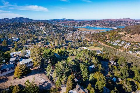 317 Durant Way, Mill Valley, CA 94941 photo 37