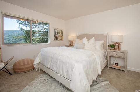 317 Durant Way, Mill Valley, CA 94941 photo 22