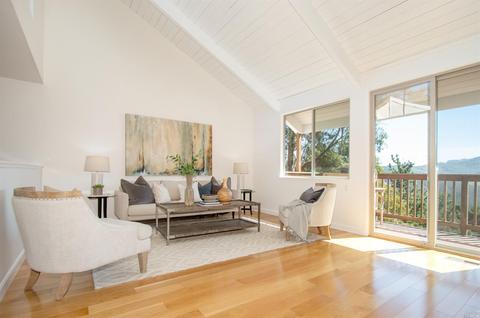 317 Durant Way, Mill Valley, CA 94941 photo 7