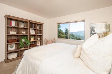 317 Durant Way, Mill Valley, CA 94941 photo 23