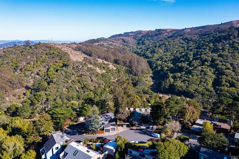 317 Durant Way, Mill Valley, CA 94941 photo 31