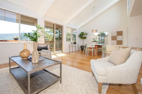317 Durant Way, Mill Valley, CA 94941 photo 13